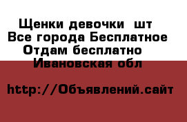 Щенки девочки 4шт - Все города Бесплатное » Отдам бесплатно   . Ивановская обл.